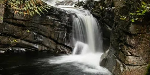 Chapman Creek Hatchery and Nature Destination