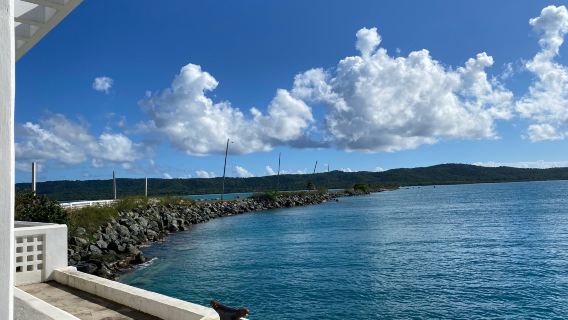 Mosquito Pier