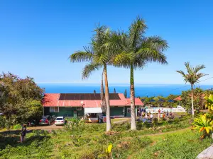 Heavenly Hawaiian Kona Coffee Farm Tours