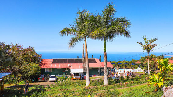 Heavenly Hawaiian Kona Coffee Farm Tours