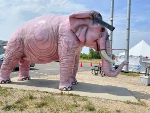 Pink Elephant