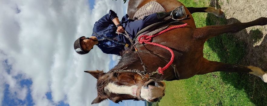 Horse Riding Warkworth