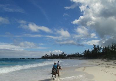 Oceanview Farm