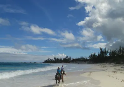 Oceanview Farm