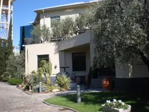 Museo dell'Olivo