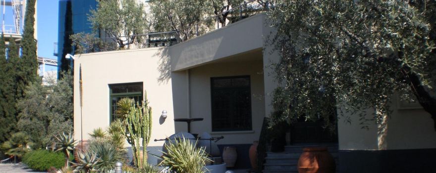 Museo dell'Olivo