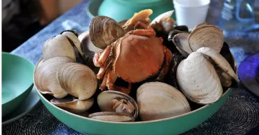 Experience PEI