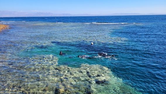 Bedouin Divers Dahab