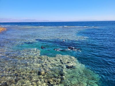 Bedouin Divers Dahab