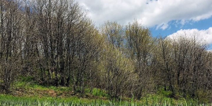 Горнолыжный курорт Цахкадзор