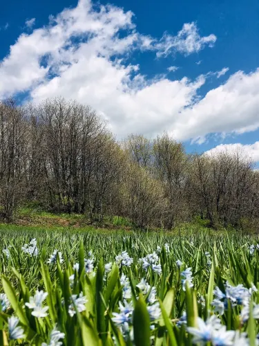 Ropeway of Tsaghkadzor