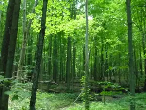 Ionia State Recreation Area