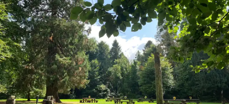 스파 시설을 갖춘 아일랜드 킬데어 호텔