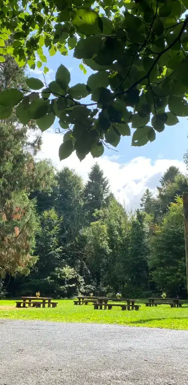 Hotels mit Bar in County Kildare, Irland