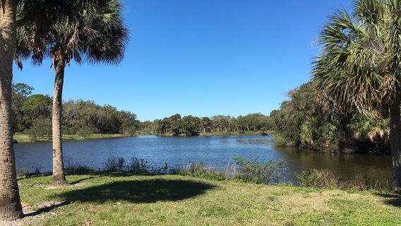Red Bug Slough Preserve