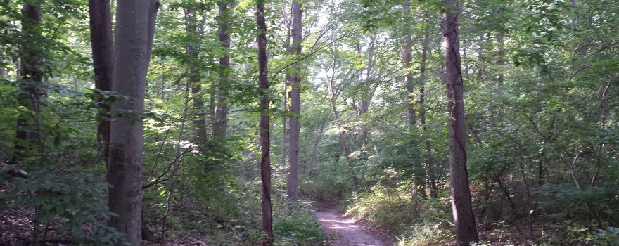 Cordwood Landing County Park