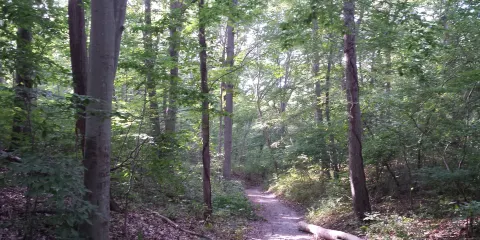 Cordwood Landing County Park