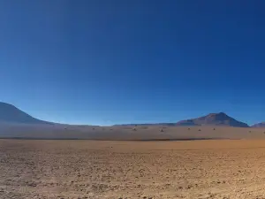Quechua Connection 4wd