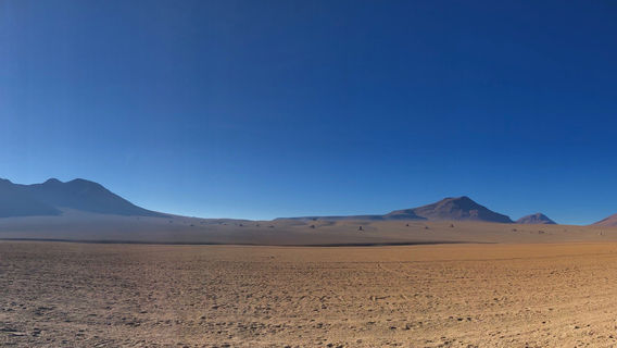 Quechua Connection 4wd