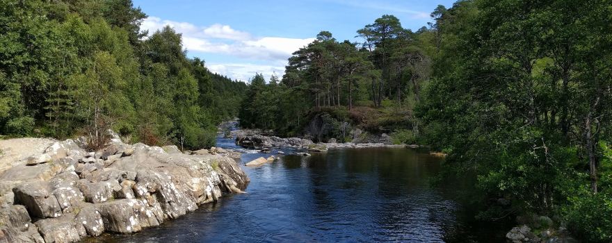 Beauly