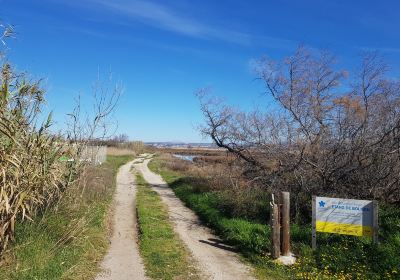Marignane