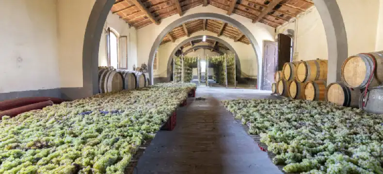Hotels in Monteriggioni