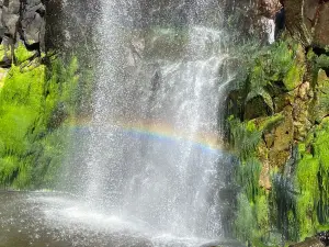 Baxter's Harbour Falls