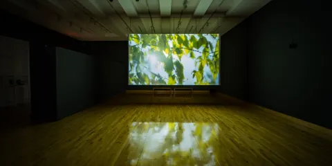 Florida Gulf Coast University Art Galleries