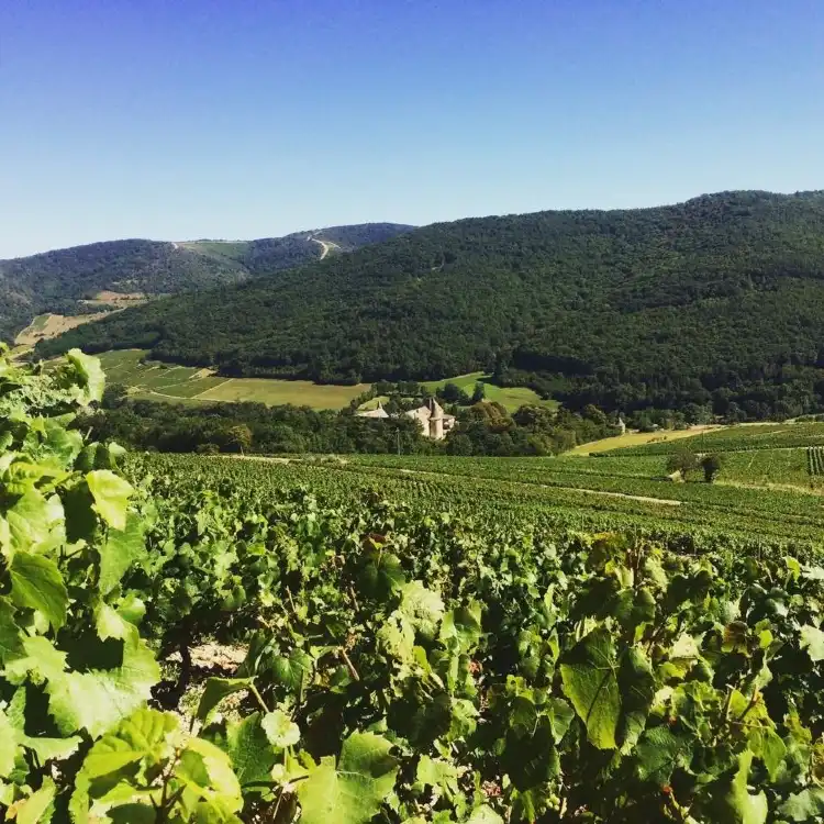 Hotels in Quincié-en-Beaujolais