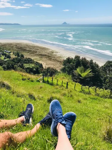 Waiotahe