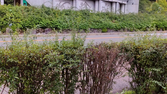 Hakusan-Roku Theme Park Yoshioka-Enchi