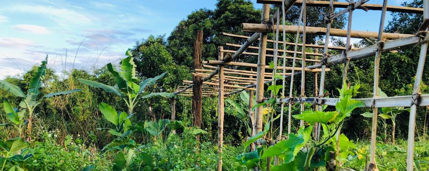 Đăk Nông Eco Farm