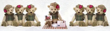 Teddy Bear Art Museum
