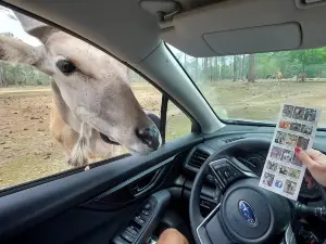 Lonesome Dove Drive Thru Safari LLC