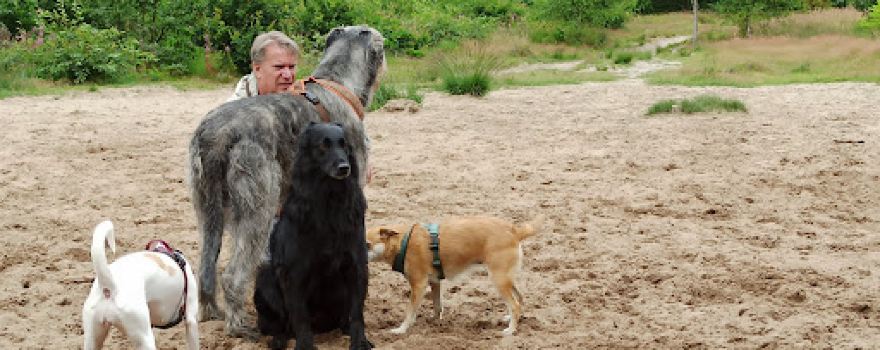 Hundefreilauf Leck
