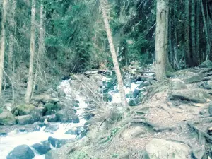 River Ulu-Murudzhu