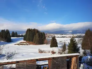 Centro fondo Asiago