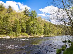 Austin Hawes Campground