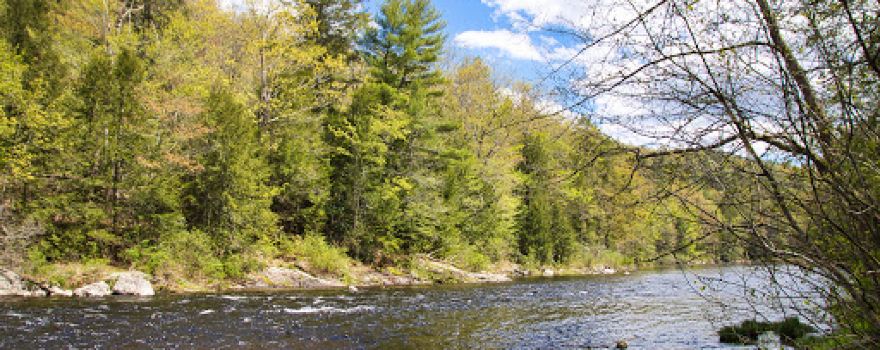 Austin Hawes Campground