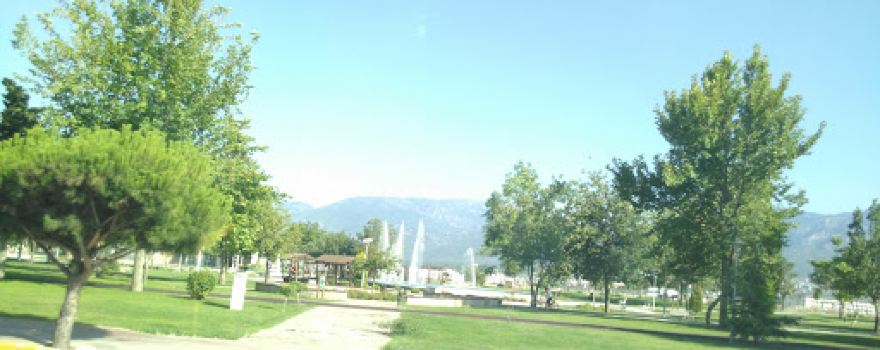 Yeşil Alan