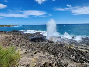 Spouting Horn Park