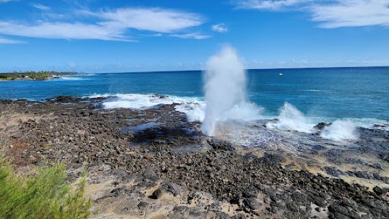 Spouting Horn Park
