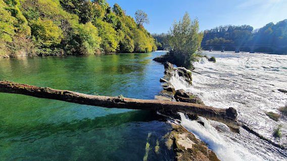 Rheinfallweg