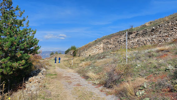 Vinica Kale
