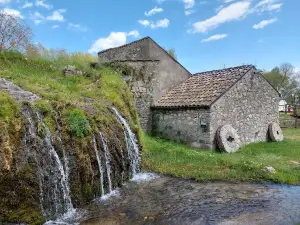 Il Mulino