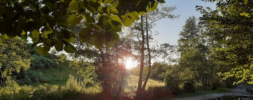 CAMPING DU MOULIN