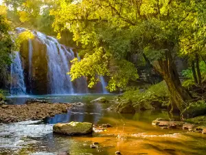 Falls Jumping