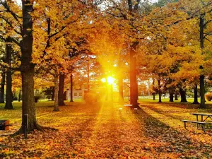 Bennett Park