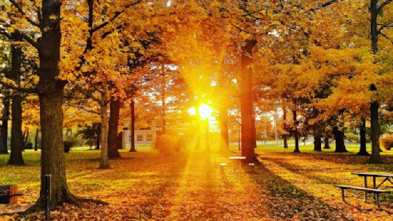 Bennett Park