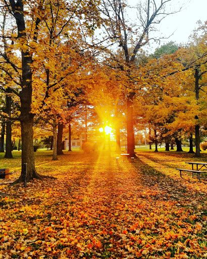 Bennett Park